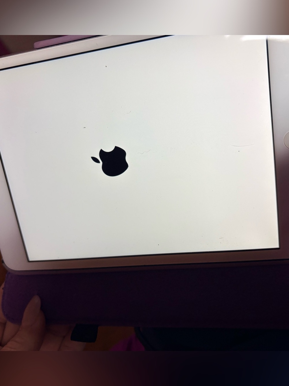 Apple iPad mini Tablet with White Front and Black Logo